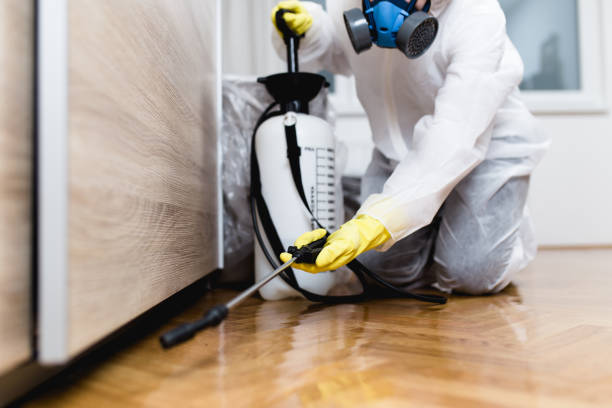 Best Rat Extermination Near Me  in La Vergne, TN