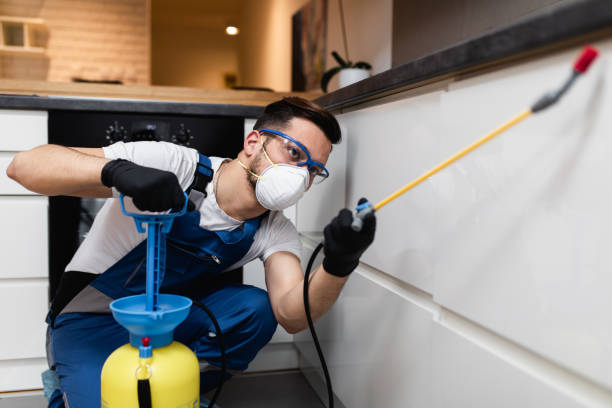 Best Wasp Removal Services  in La Vergne, TN