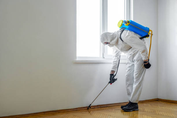 Best Best Pest Control Companies  in La Vergne, TN