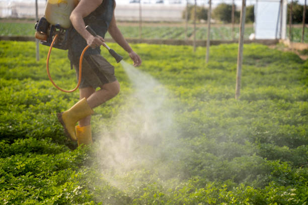 Best Commercial Pest Control Services  in La Vergne, TN