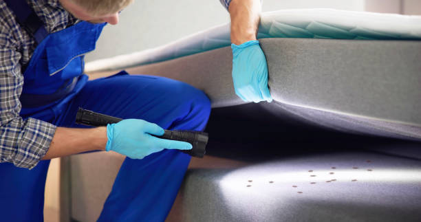  La Vergne, TN Pest Control Pros